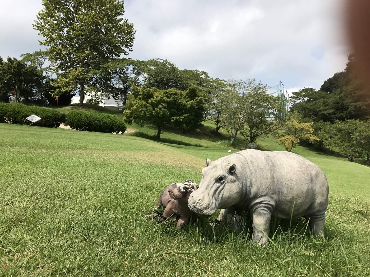 ラウンド当日の写真1