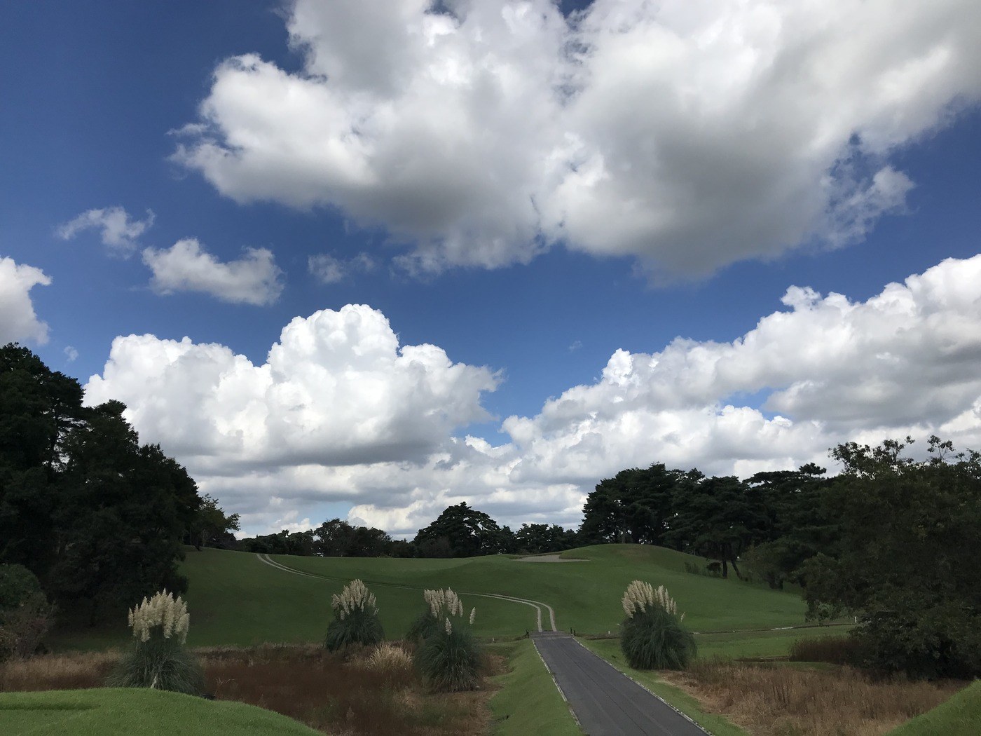 ラウンド当日の写真1