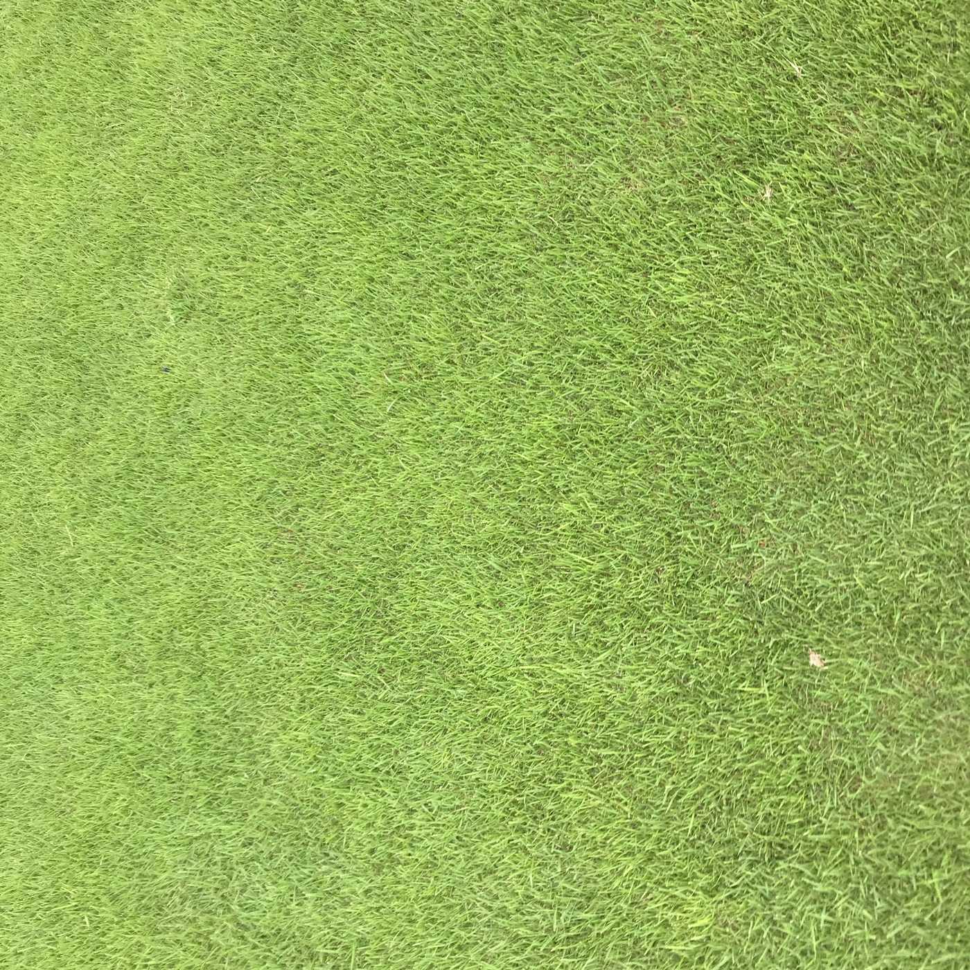 ラウンド当日の写真1