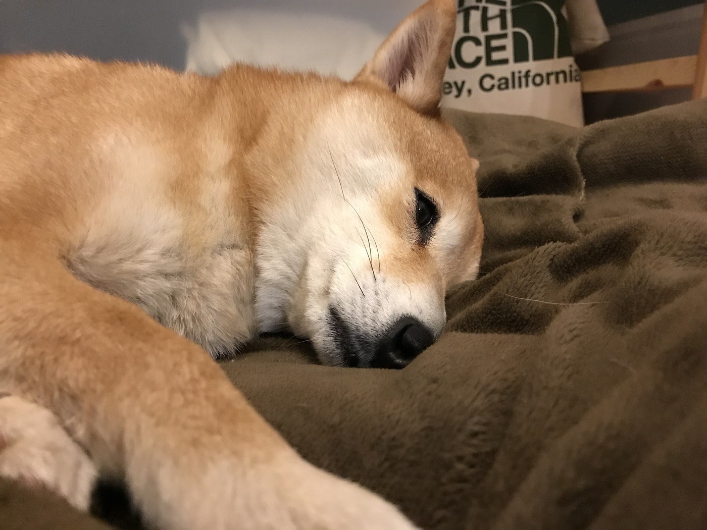 ラウンド当日の写真1