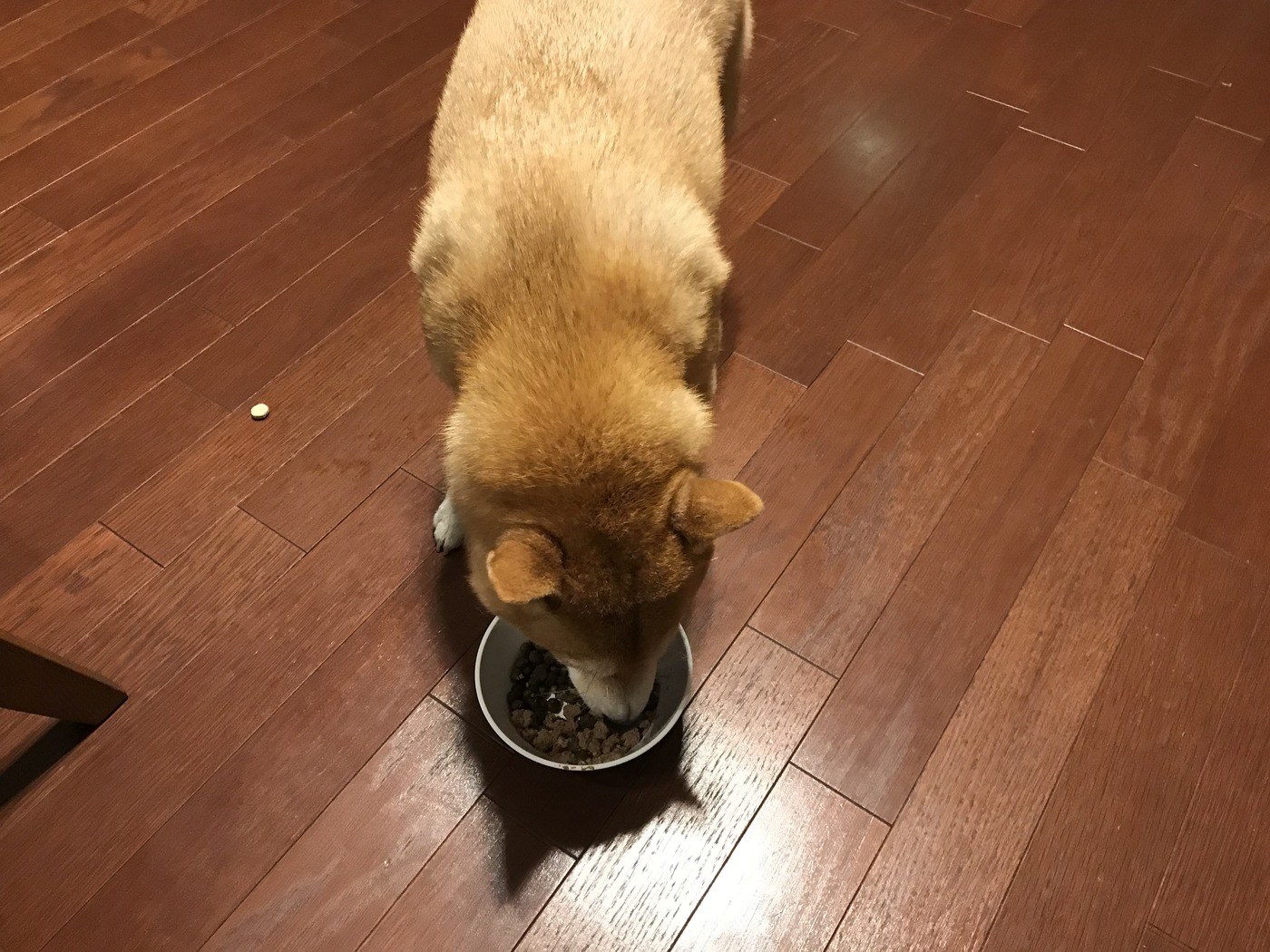 ラウンド当日の写真1