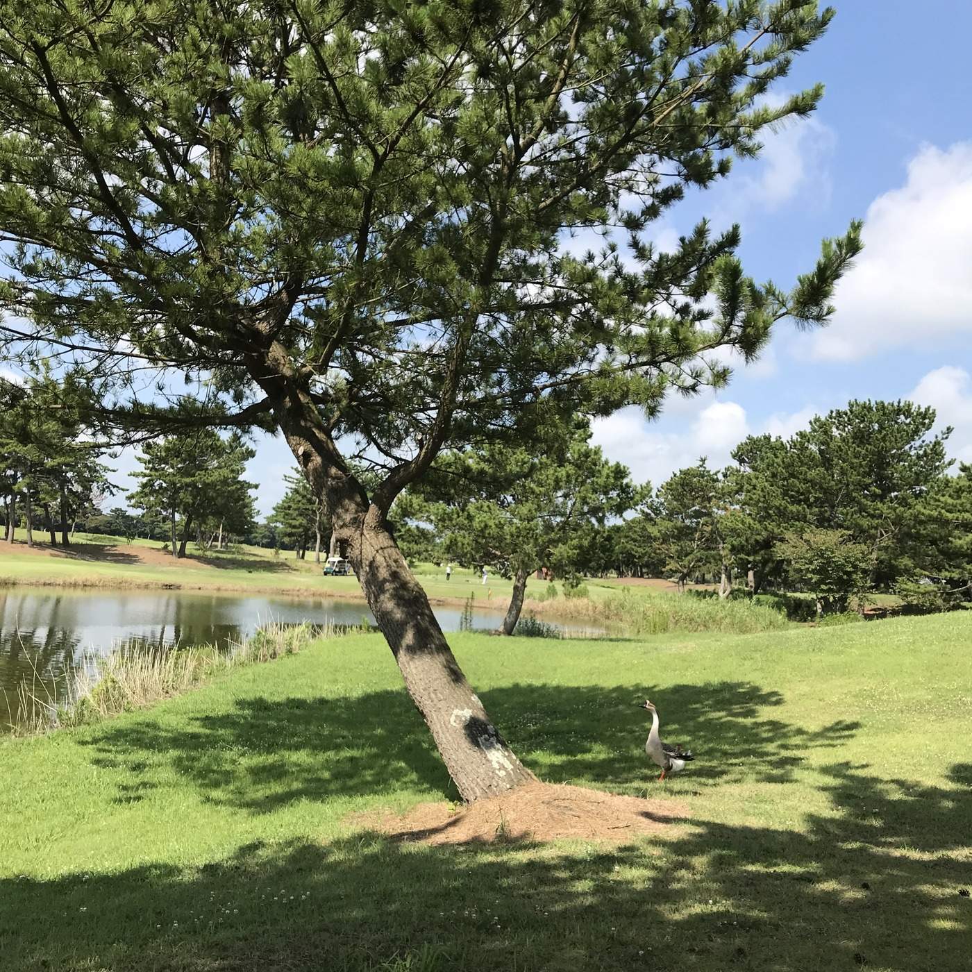 ラウンド当日の写真1