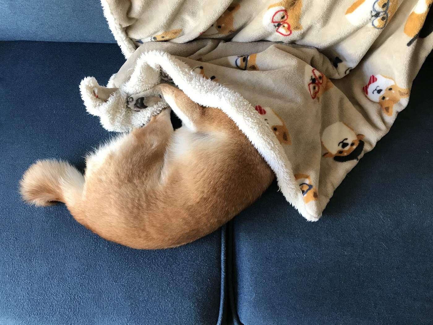 ラウンド当日の写真1